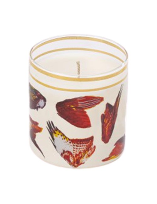 CANDELA MANI CON ALI