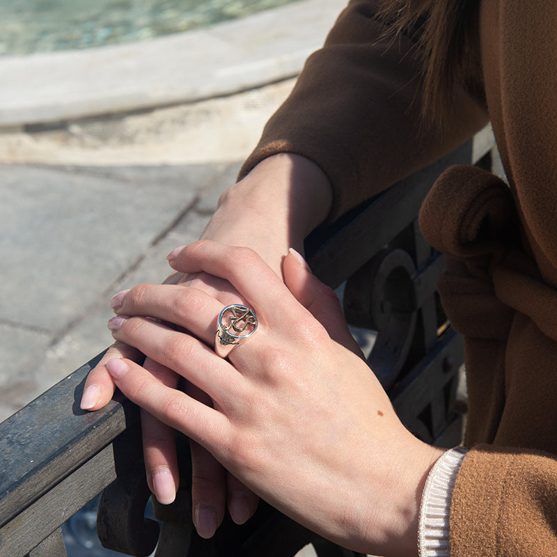 NEMORIS - ANELLO AREGENTO E BRONZO CON GOLFO DI NAPOLI