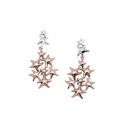 NEMORIS -  ORECCHINI IN ARGENTO E BRONZO STELLE MARINE