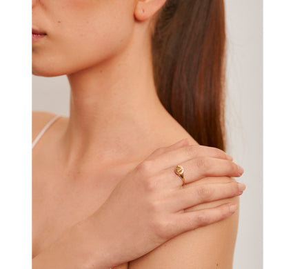 LE CARRE' - ANELLO CHEVALIER OVALE IN ORO GIALLO